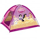 Stan Disney princezny