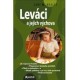 Leváci a jejich výchova