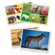 CD Bingo - Zvuky zvierat